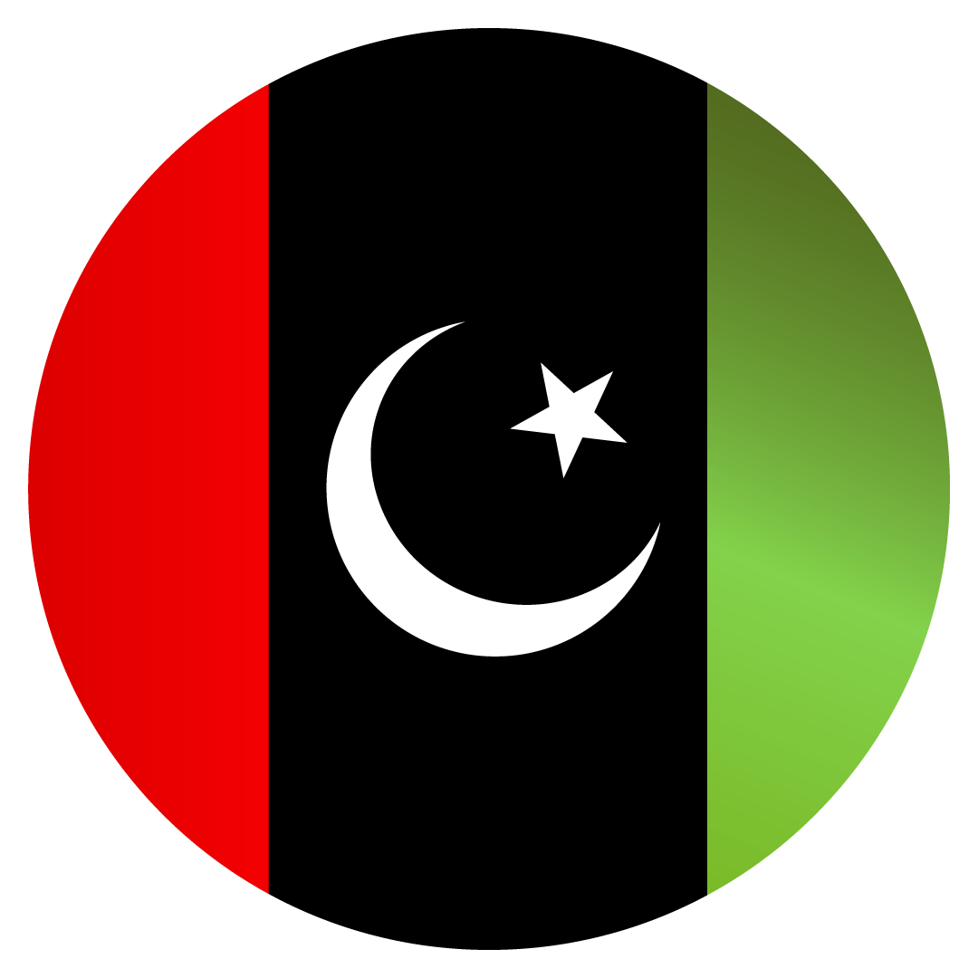 PPP Logo